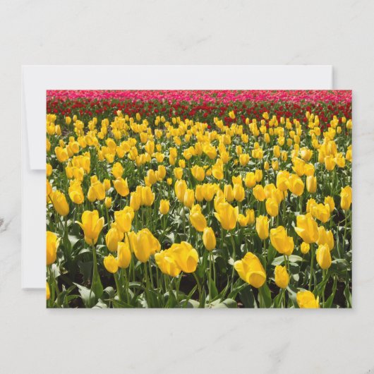 Invitation de la nuptiale Tulip Spring (Dos)