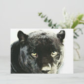 Invitation de la Panthère Jaguar noire (Debout devant)