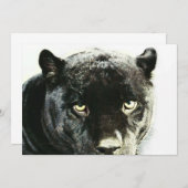 Invitation de la Panthère Jaguar noire (Devant / Derrière)