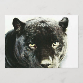 Invitation de la Panthère Jaguar noire