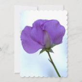 Invitation de la partie de retraite de purple Swee (Dos)