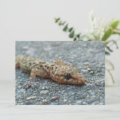 Invitation de Lizard (Debout devant)