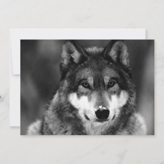 Invitation de loup noir et blanc