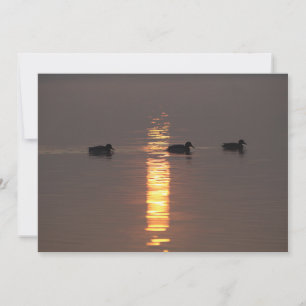 Invitation de Mallards