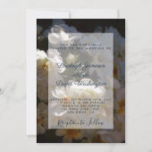 Invitation de mariage aux roses blanches (Devant)