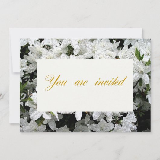 Invitation de mariage, d'anniversaire ou de fiança (Devant)