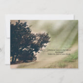 Invitation de Mariage Route de Campagne Rustique & (Dos)