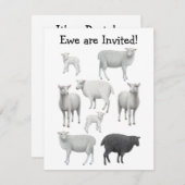 Invitation de moutons noirs (Devant / Derrière)