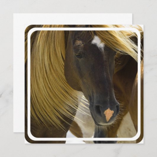 Invitation de Mustang Horse (Devant / Derrière)