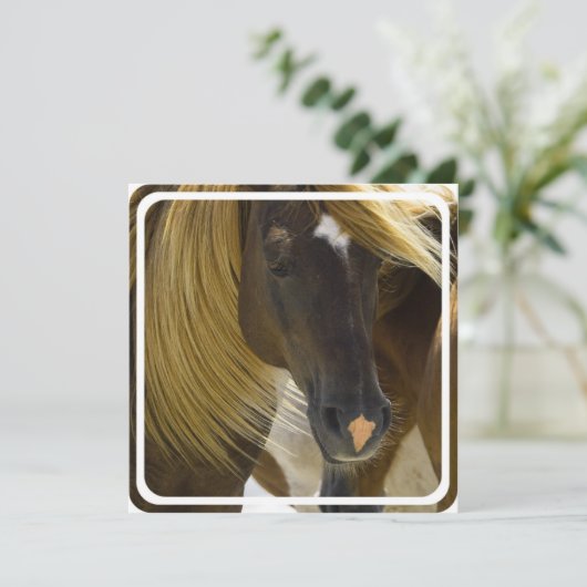 Invitation de Mustang Horse (Debout devant)