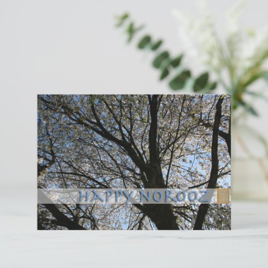 Invitation de Norooz Cherry Blossom Tree (Debout devant)