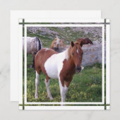 Invitation de Paint Horse (Devant / Derrière)