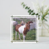 Invitation de Paint Horse (Debout devant)