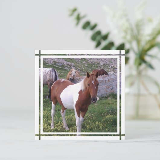 Invitation de Paint Horse (Debout devant)