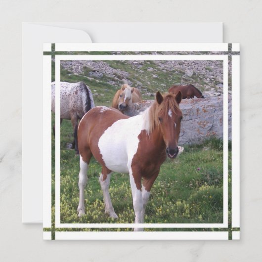 Invitation de Paint Horse (Devant)