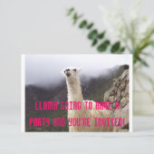 Invitation de partie de lama (Debout devant)