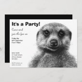 Invitation de partie de Meerkat (Devant / Derrière)
