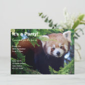 Invitation de partie de panda rouge (Debout devant)