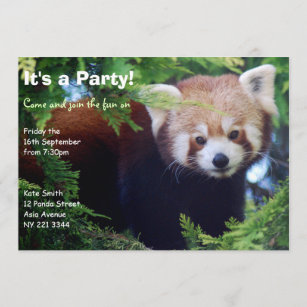 Invitation de partie de panda rouge