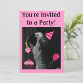 Invitation de partie de perroquet de gris africain (Debout devant)