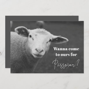 Invitation de Passover amusant