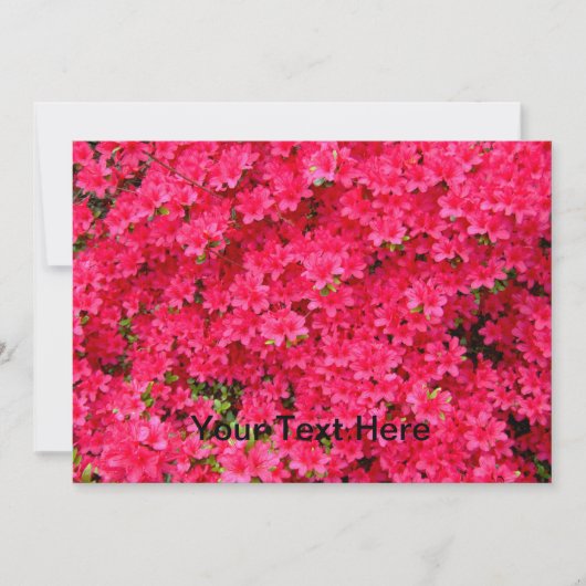 Invitation de patchs de fleurs Red Azalea (Devant)