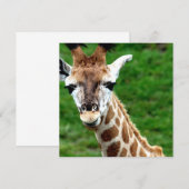 Invitation de photo de girafe (Devant / Derrière)