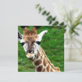 Invitation de photo de girafe (Debout devant)