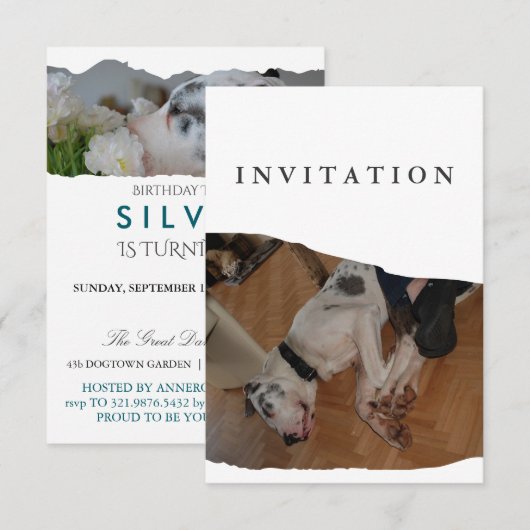 Invitation de photo de Grand Danois (Devant / Derrière)