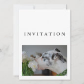 Invitation de photo de Grand Danois (Devant)