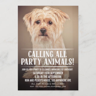 INVITATION DE PHOTO DE LA PARTIE DU CHIOT D'ANIMAL