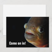 Invitation de piranha (Devant / Derrière)