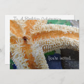 Invitation de poisson d'eau et de verre de mer (Devant / Derrière)