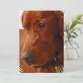 Invitation de poseur irlandais (Debout devant)