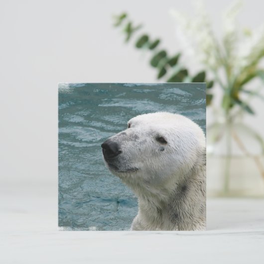 Invitation de profil d'ours blanc (Debout devant)