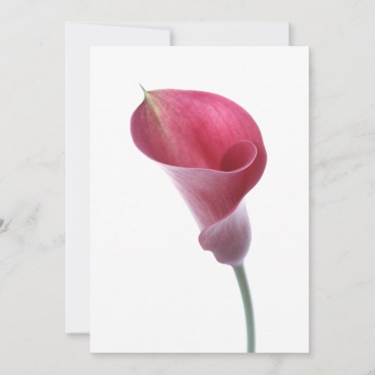 Invitation de Purple Calla Lily (Devant)