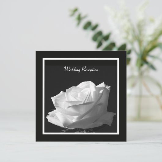 Invitation de réception de mariage aux roses blanc (Debout devant)