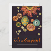 Invitation de réinitialisation d'écureuils de mer (Devant)