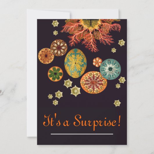 Invitation de réinitialisation d'écureuils de mer (Devant)