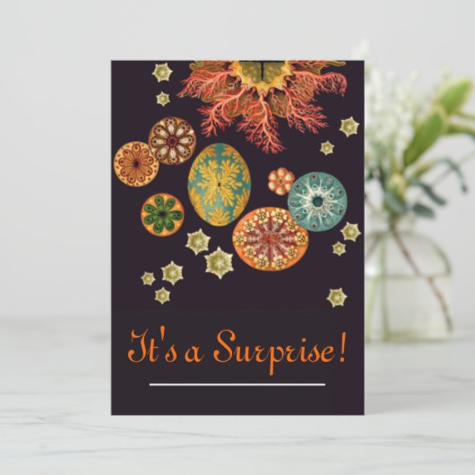 Invitation de réinitialisation d'écureuils de mer (Debout devant)