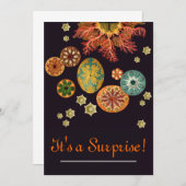 Invitation de réinitialisation d'écureuils de mer (Devant / Derrière)