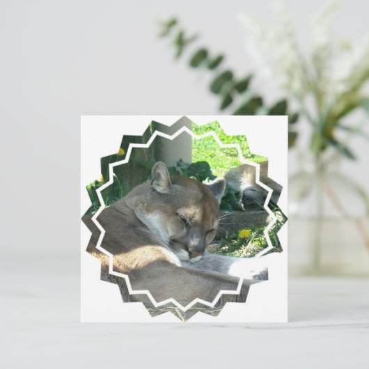 Invitation de repos de puma (Debout devant)