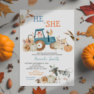 Invitation de révélation du sexe de bébé avec ferm