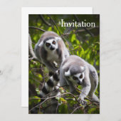 Invitation de Ring Lemur (Devant / Derrière)