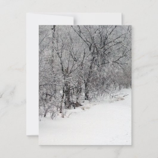 Invitation de Snowy Woods (Devant)