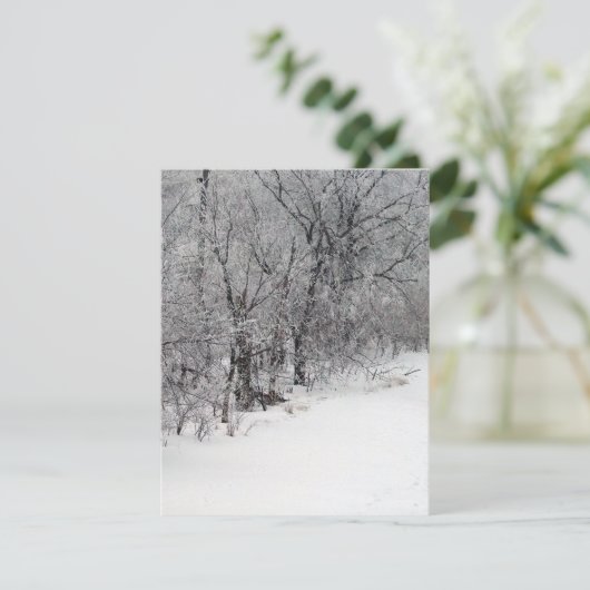 Invitation de Snowy Woods (Debout devant)