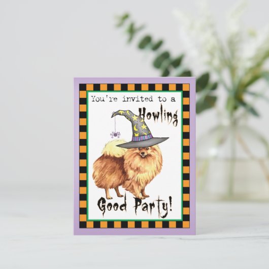 Invitation de sorcière de Poméranie (Debout devant)