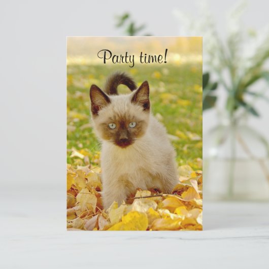 Invitation "de temps de partie" (Debout devant)