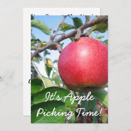 Invitation de temps de récolte (Devant / Derrière)