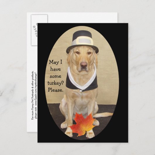 Invitation de Thanksgiving (Devant / Derrière)